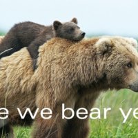 Are We Bear Yet.jpg