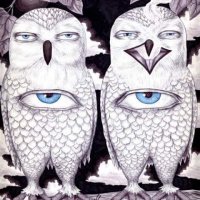 eyeball owls.jpg