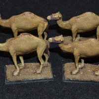 mini_84_camels_04.jpeg