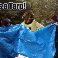 Its-a-tarp.png