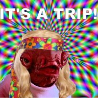 ITS A TRIP.jpg