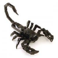 giant-scorpion-top-angle.jpg