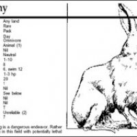 duckbunny.jpg