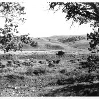 chauzuphoto11.jpg