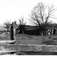 chauzuphoto13.jpg