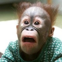 shocked.jpg