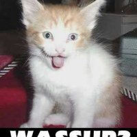 wassup.jpg