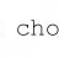 iconic chook2.jpg