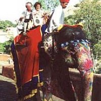 amber-elefant-ride-m.jpg