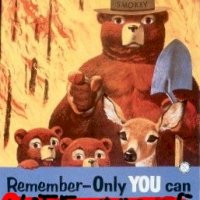 smokey bear is a fan of mmswe.jpg