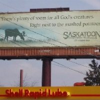 godscreatures.jpg