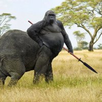 gorilla elephant centaur.jpg