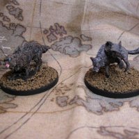 IMG_3980 (Large).JPG