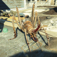 FO4NW_Cave_cricket.png