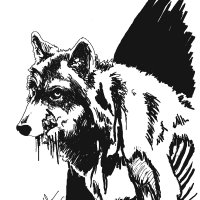 ravager-wolf.jpg