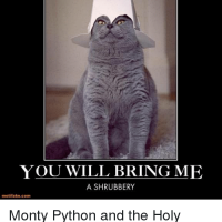 8f5874f31ac35f3b4c94f127f9250552.png