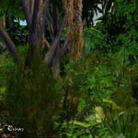 Jungle Terrain 002.jpg