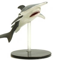 WZK71244-Hammerhead.jpg