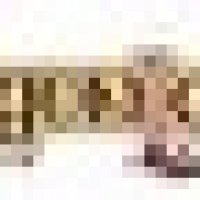 dl3.jpg