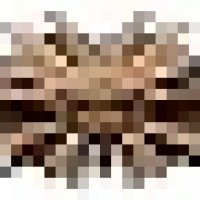 index.jpg