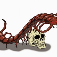 giant_centipede.jpg