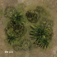 hwa12.png