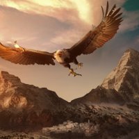 eagle.jpg