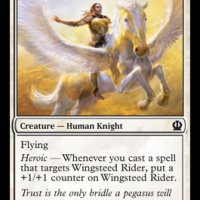 wingsteedrider.jpg