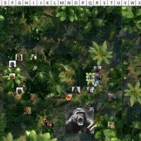 Ape3.jpg