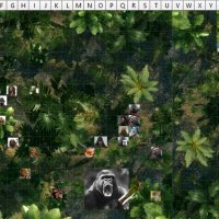 Ape3.jpg
