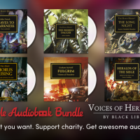 voicesheresyblacklibrary_bookbundle-blog.png