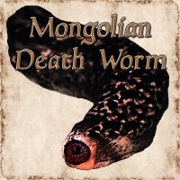 Mongolian Death Worm 5e BANNER.jpg