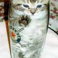 beercat.jpg