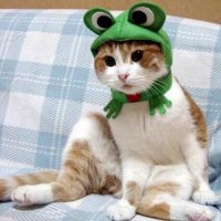 frog hat.jpg
