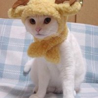 ram hat.jpg