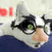 kitty2_small.jpg