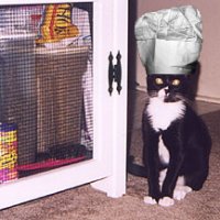 chefmimi.jpg