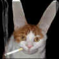 catsmoke_small.jpg