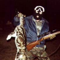 cat-by-tail.jpg