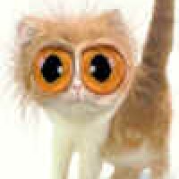 owlcat_small.jpg