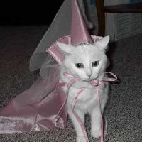 kittyprincess.jpg