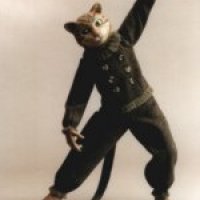 catdancingsm.jpg