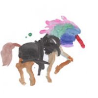 unicorns.jpg