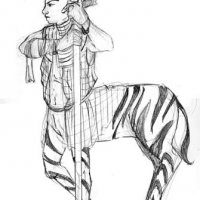 zebra.jpg