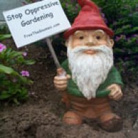 protestgnome2.jpg