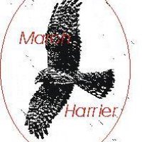 Mharrier Badges.JPG