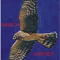 march harrier logo.JPG