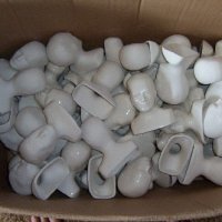 heads.jpg