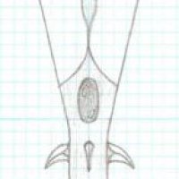 spear19.jpg