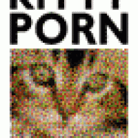 kitty.gif